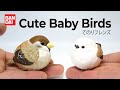Cute Baby Birds - Bandai Tenori Friends てのりフレンズ