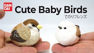 Cute Baby Birds - Bandai Tenori Friends てのりフレンズ