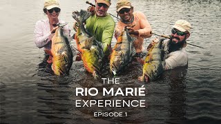 The Rio Marié Experience  Episode 1