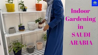 Indoor Garden setup in SAUDI ARABIA // home gardening // plants inside home