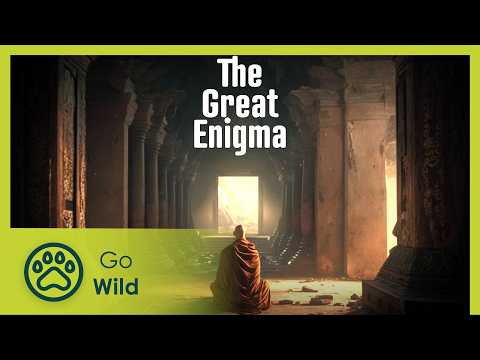 The Great Enigma | Go Wild