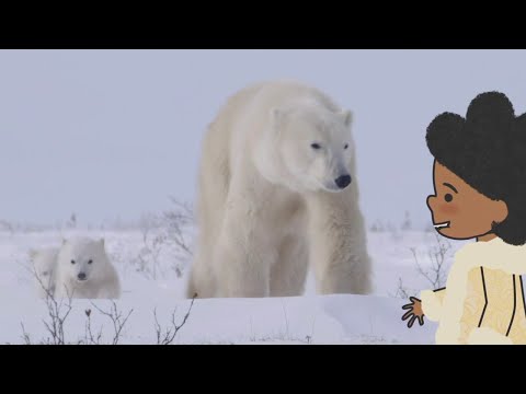 L&rsquo;IMAGIER DE KOUMI -Episode intégral "L&rsquo;ours polaire" (ton dessin animé sur Piwi+)