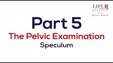 The Pelvic Examination I Part 5 I Speculum Exam