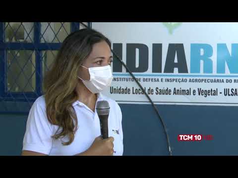 Jornal da Manhã