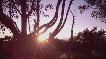 ParceGaD - primaVtheM