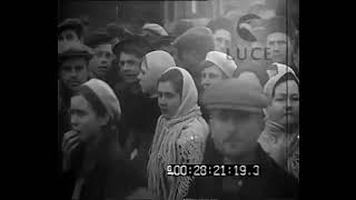 Итальянский киножурнал &quot;Джорнале Люче&quot;, № 198, 1941 год. Итальянские войска в Сталино