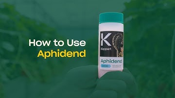 How To Use Aphidend - Predatory Gall Midges for Aphid Control