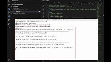Use a PKCS12 keystore with Zowe generated certificate 2 - Run commands to generate certificates