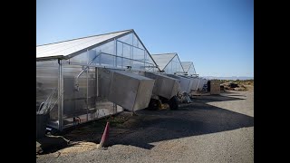 InnerPlant 2024 Greenhouse Tour