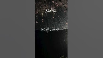 القرآن_الكريم سورة الفجر #علاء_عقل #قران_كريم #اكسبلور