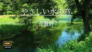 4K映像やさしい水の音  /  自然環境音