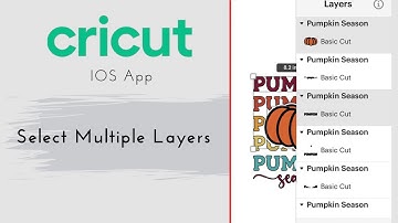 How to select multiple layers - IOS App