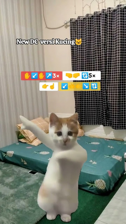 DJ TERBAYANG BAYANG KAMU KUCING JOGET  #djterbayangbayangkamu #djsumpahjanjipadamu