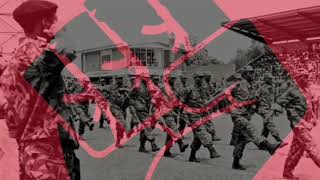 31102 Nelson Mandela and the Fight for Equality Update