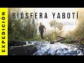 BIÓSFERA YABOTÍ - Episodio 1 || 5 Días solo en la Selva de Misiones ||  Wildlife photography