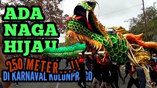 Naga hijau sepanjang 250 meter meriahkan karnaval kulonprogo