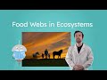Understanding Food Webs and Ecosystems