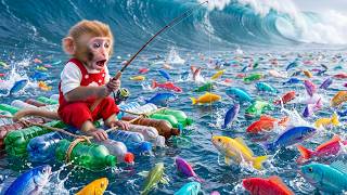 Monkey Mono Builds a Simple Raft to Save Ducklings and Goes Fishing with M&Ms