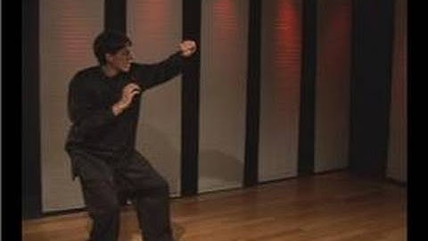 Kung Fu Fighting : Praying Mantis Overhead Block Upward Elbow