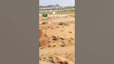 🇸🇦 Hail al khata ka video #shayari Bashir badr#viral video#🇮🇳🌺🌸🌷🥀❤️💯