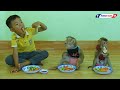 Master Chef Monkey | Obedient Kako & Luna With Brother Eating Steamed Sausage With Vegetable