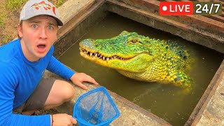 Bass fishing Productions LIVE: February Week 2 | Stream Highlights