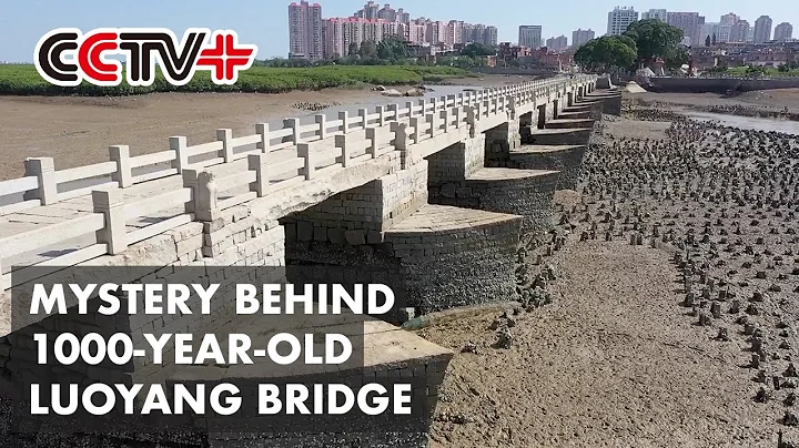 Mystery behind 1000-year-old Luoyang Bridge - DayDayNews