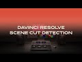 DLF - DaVinci Resolve 04 - SceneCutDetection