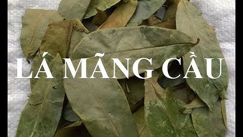 Lá Mãng Cầu Xiêm | Hỗ Trợ Ngăn Ngừa Ung Thư, Điều Hòa Huyết Áp | Thảo Dược Thanh Bình