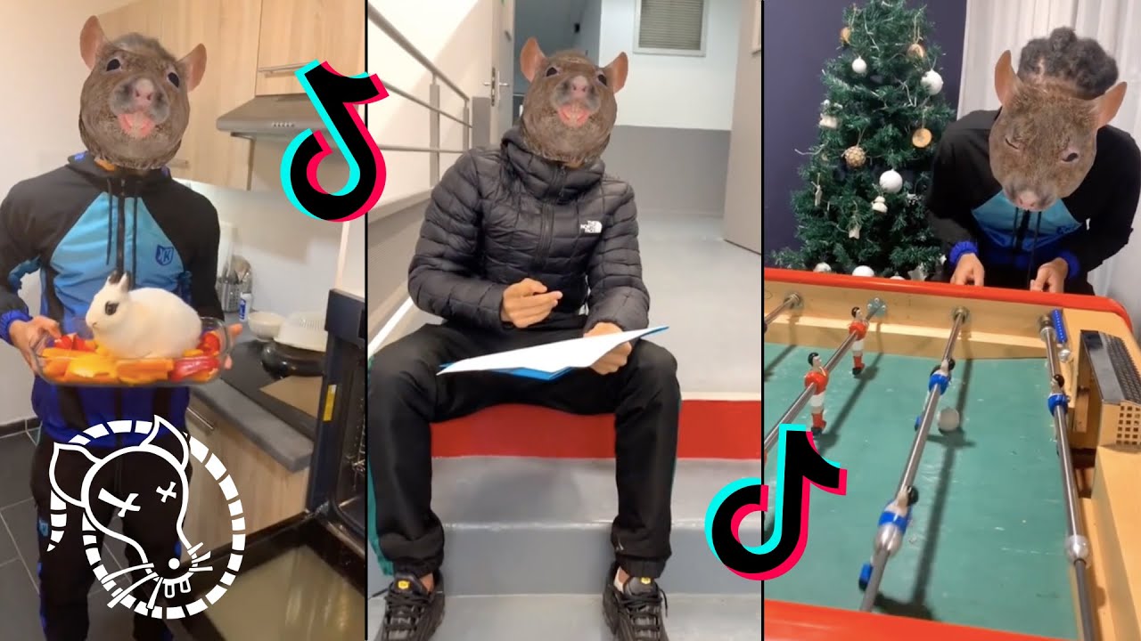 COMPILATION FRANÇAIS LE RAT TENDANCE DU MOMENT ! 🐀 