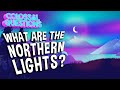 Understanding Natural Phenomena