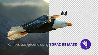 Remove the background using Topaz Re Mask | For beginners