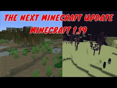 The next Minecraft Update! | Predicting Minecraft 1.19 - YouTube