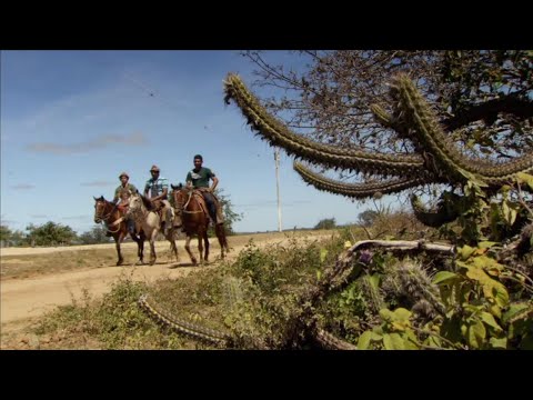 Video: Michael Palin grynasis vertas