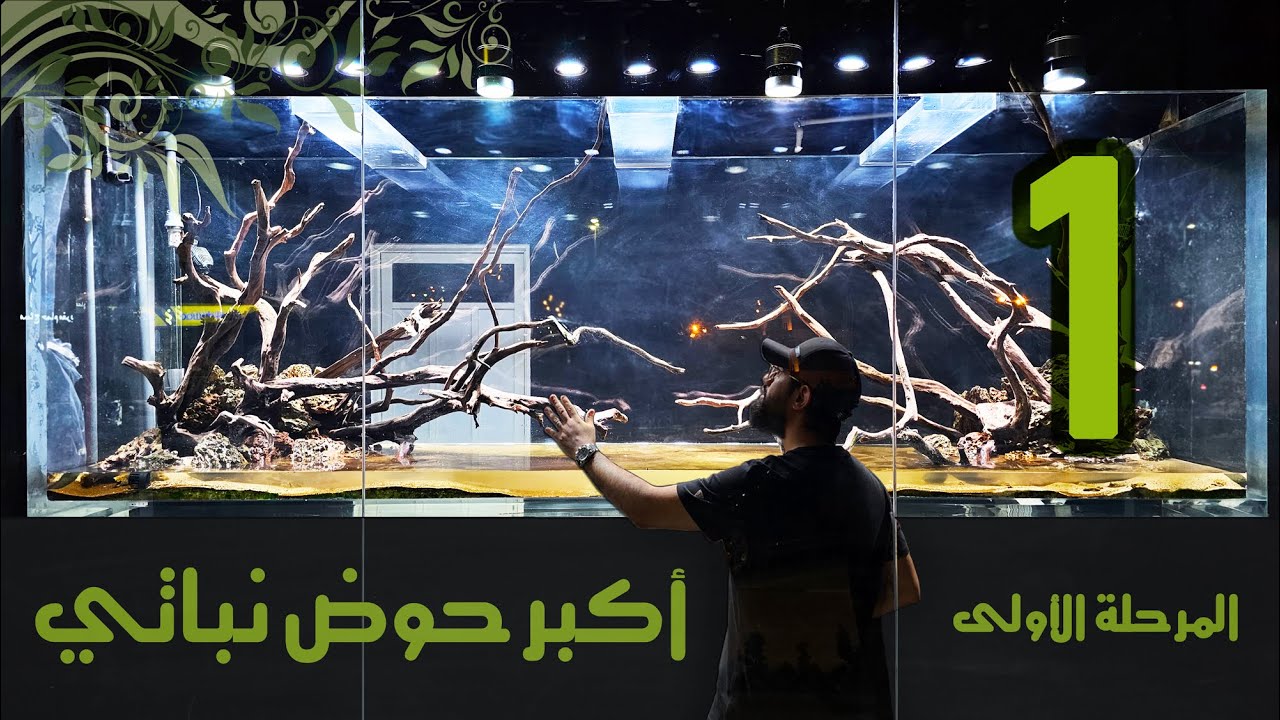 شرح كامل لتصميم أكبر حوض نباتي | المرحلة الأولى |