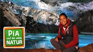 Überleben in der Höhle | Pia und die wilde Natur