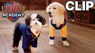 We have to stop Rico! | Pup Academy Clip