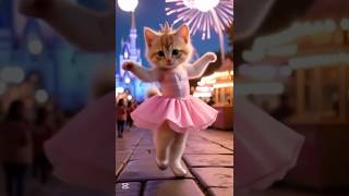 😻😻😻