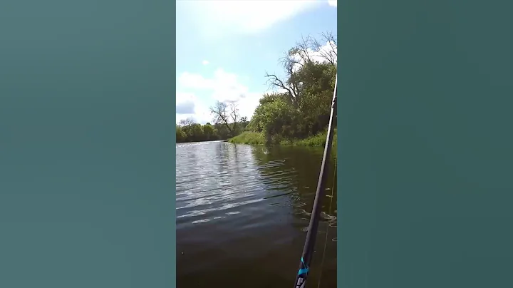 Whopper Plopper Sick Eat!
