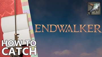 How to catch Ponderer (and where to find | Leve Fish) in FFXIV