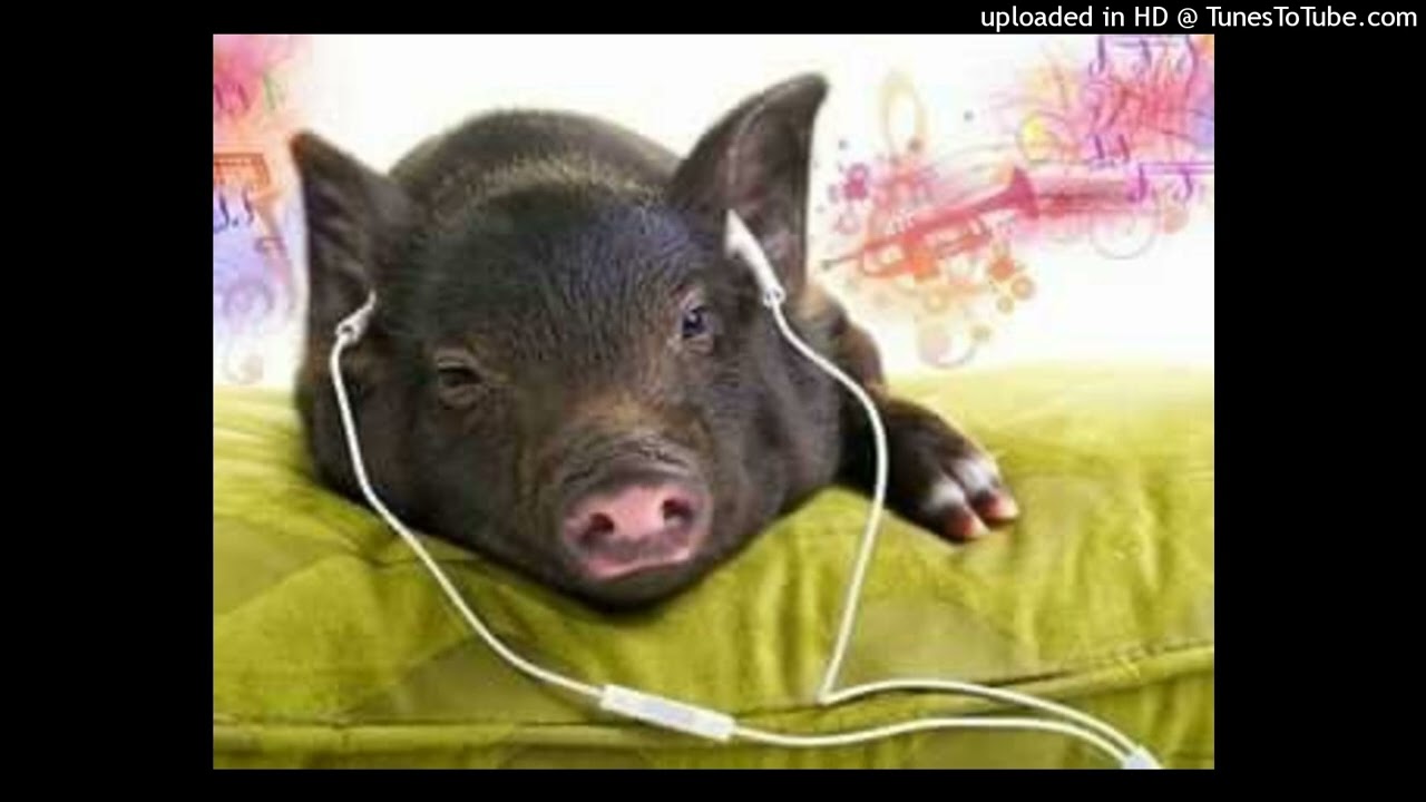 free phreshboyswag + fakemink + yhapojj type beat / prod ogida140 n wi3arrd!