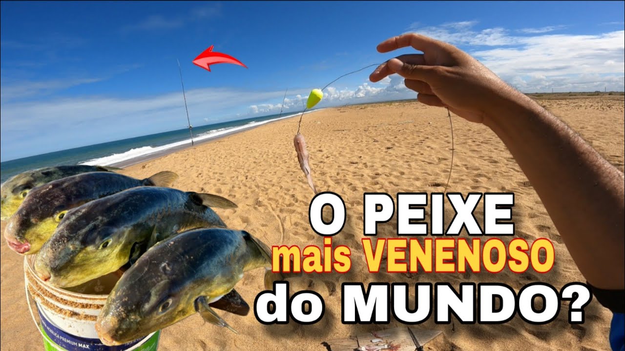 CARDUME de PEIXES FAMINTOS que DEVORA até CHICOTE AÇO, TÉCNICA INFALÍVEL para PESCARIA DE PRAIA!