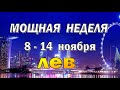 ЛЕВ 📕 ЛЮДИ из ПРОШЛОГО 📕 неделя с 8 по 14 ноября. Таро прогноз гороскоп гадание