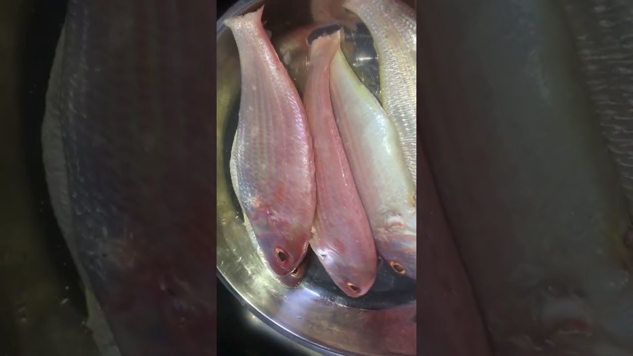 Step by step of cleaning Sultan Ibrahim Fish 🐟 