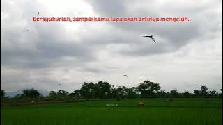 Story WA Kata-kata | Bersyukurlah sampai kamu lupa akan artinya mengeluh