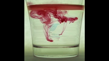 Class 6 Science Chapter 4 in Hindi Medium