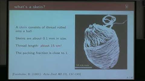 GFSW01 | Prof. Jean-Luc Thiffeault | Unraveling hagfish slime