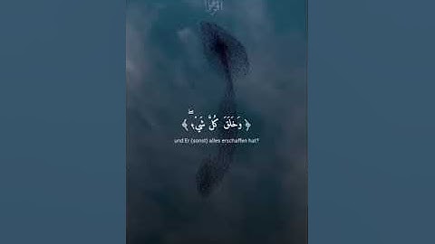 تلاوه خاشعه جميله بصوت الشيخ ياسر الدوسري ارح سمعك #ياسر_الدوسري