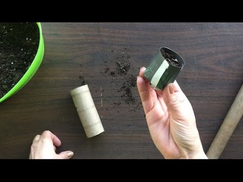 Video: How To Make Comfortable Seedling Cups