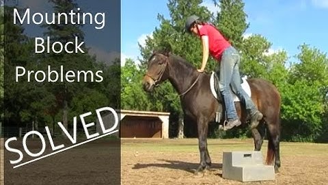 Standing Still At The Mounting Block | Horse Training